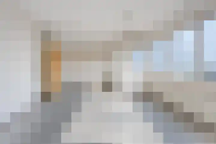 Sweelinckplein 87 's-Hertogenbosch thumbnail 8