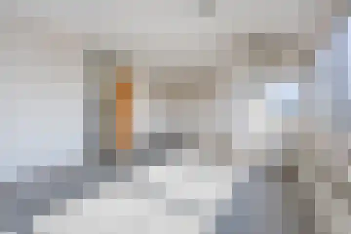 Sweelinckplein 87 's-Hertogenbosch thumbnail 9