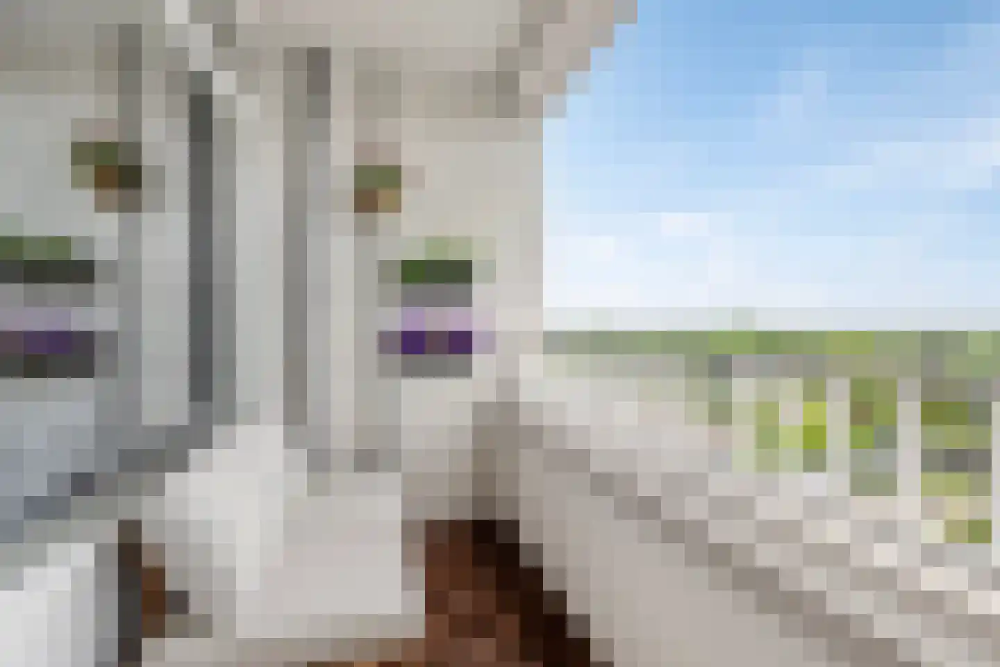 Sweelinckplein 90 's-Hertogenbosch thumbnail 11
