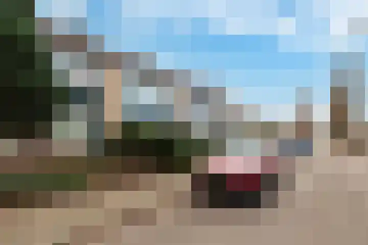 Sweelinckstraat 1 Eerbeek thumbnail 9
