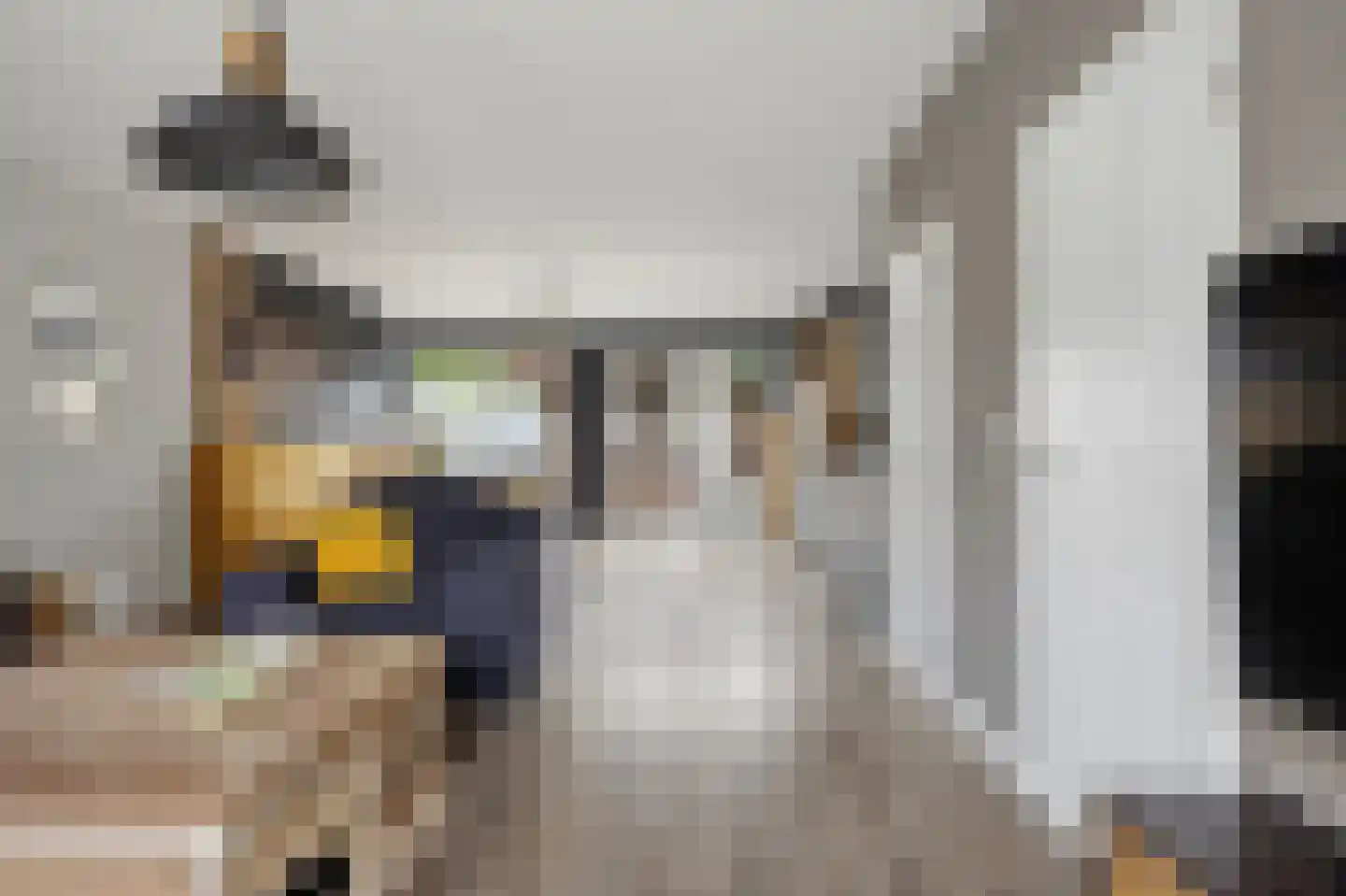 Sweelinckstraat 103 Drunen thumbnail 11