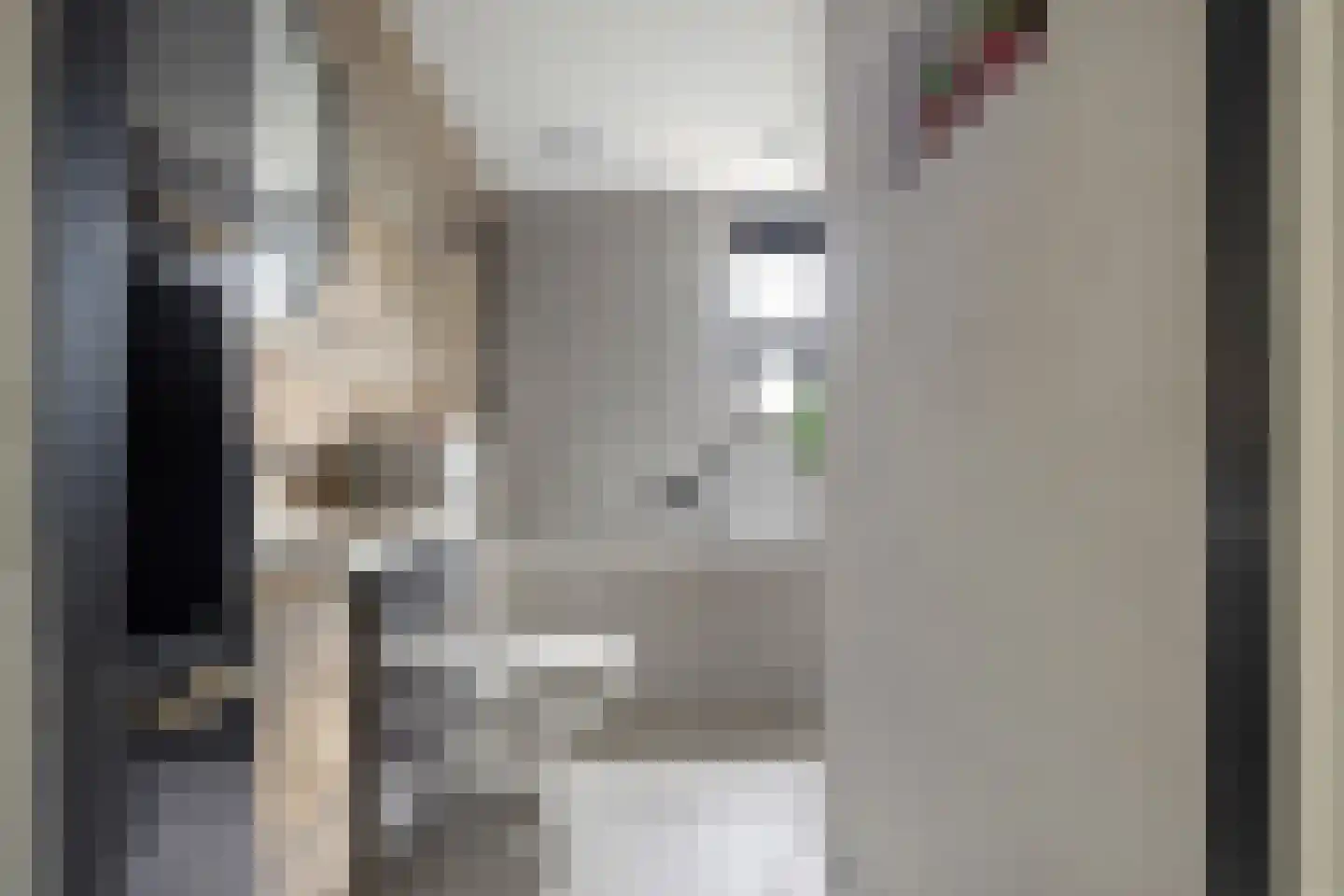 Sweelinckstraat 103 Drunen thumbnail 19