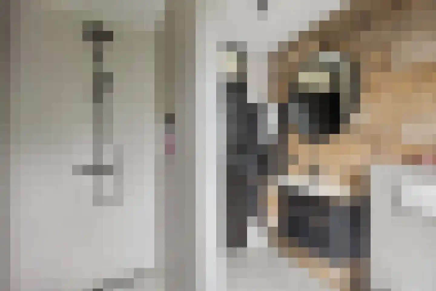 Sweelinckstraat 103 Drunen thumbnail 20