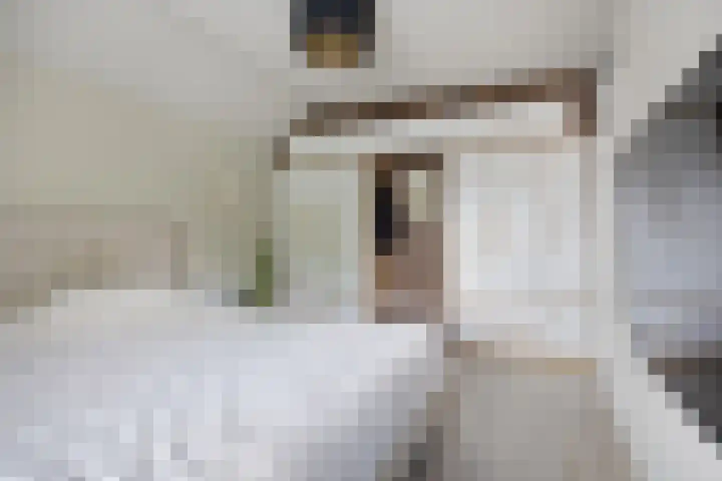 Sweelinckstraat 103 Drunen thumbnail 23