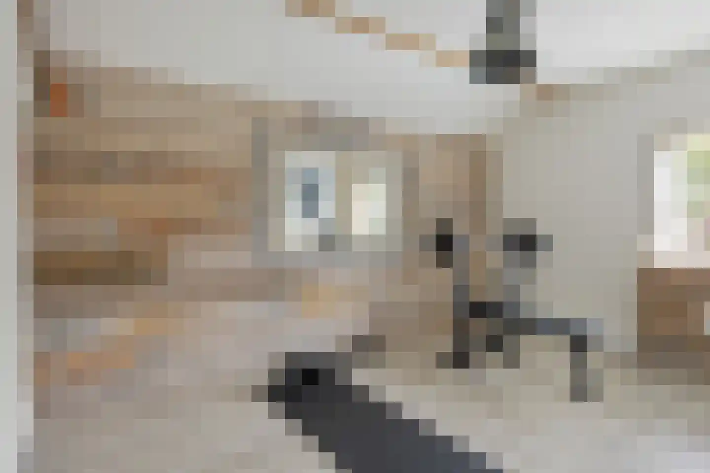 Sweelinckstraat 103 Drunen thumbnail 24