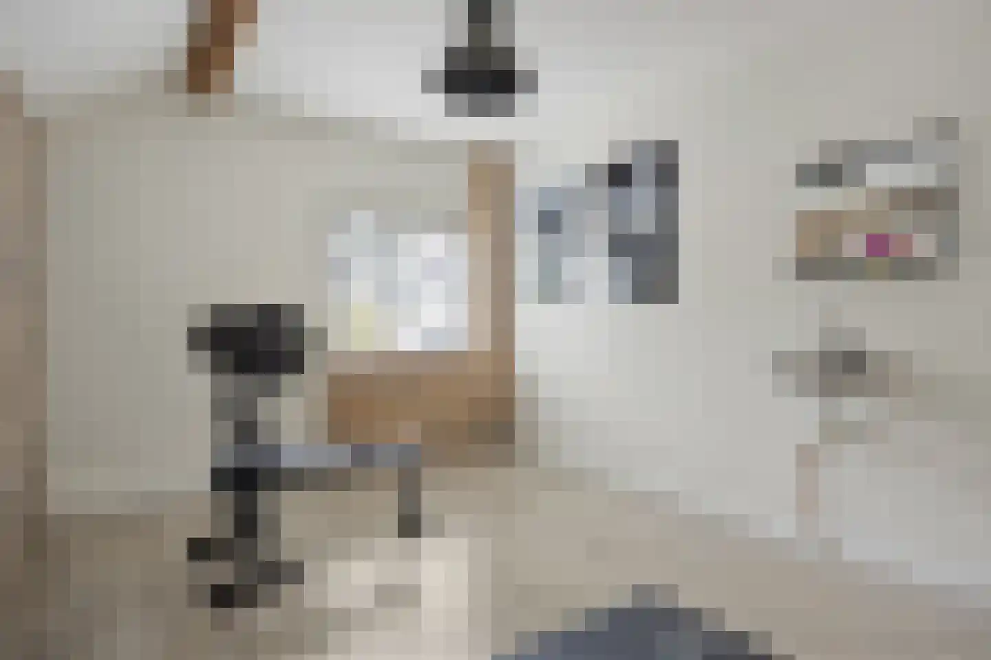 Sweelinckstraat 103 Drunen thumbnail 25