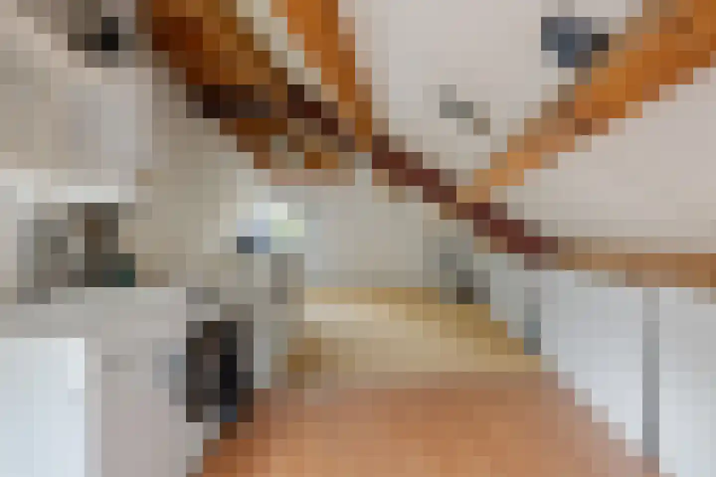Sweelinckstraat 103 Drunen thumbnail 28
