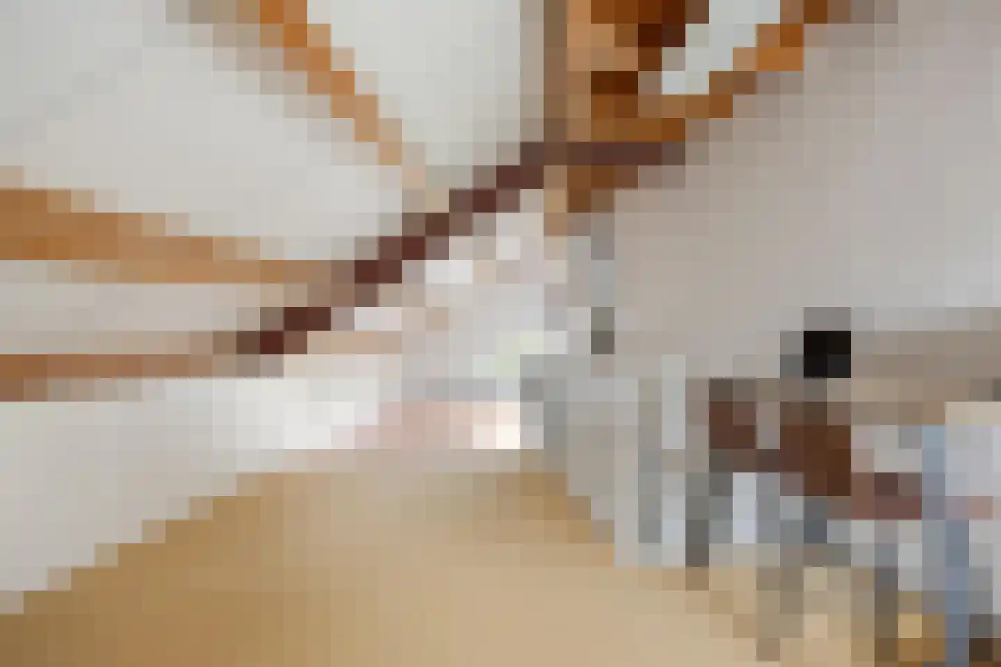 Sweelinckstraat 103 Drunen thumbnail 29