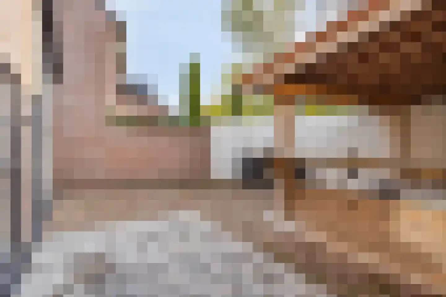 Sweelinckstraat 103 Drunen thumbnail 32