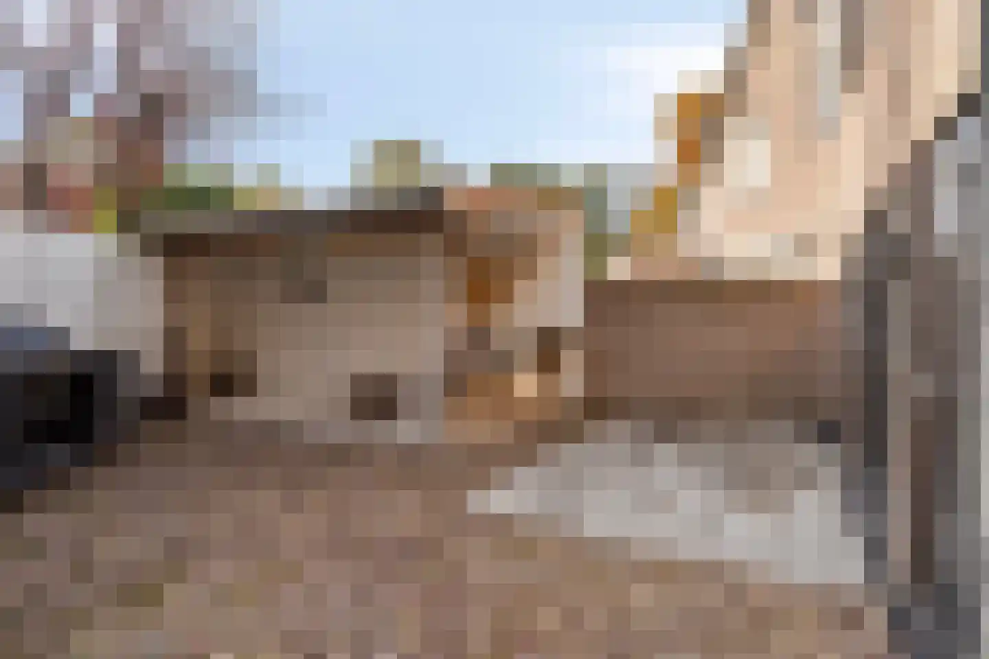 Sweelinckstraat 103 Drunen thumbnail 33