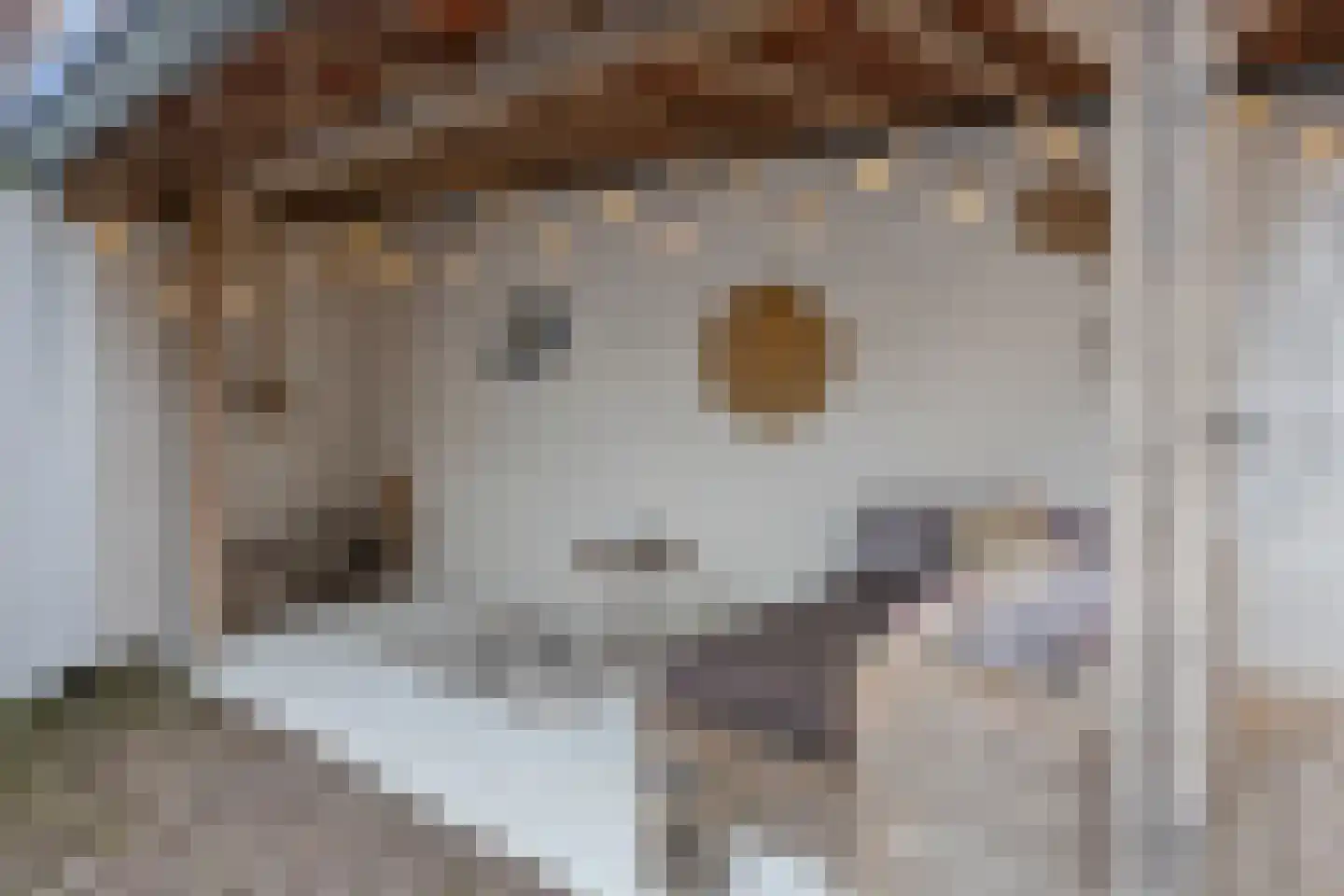 Sweelinckstraat 103 Drunen thumbnail 36