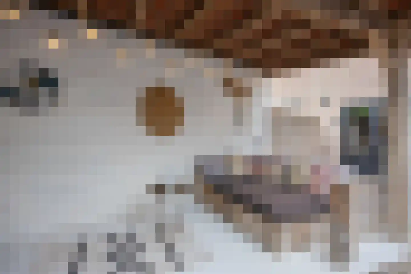 Sweelinckstraat 103 Drunen thumbnail 37