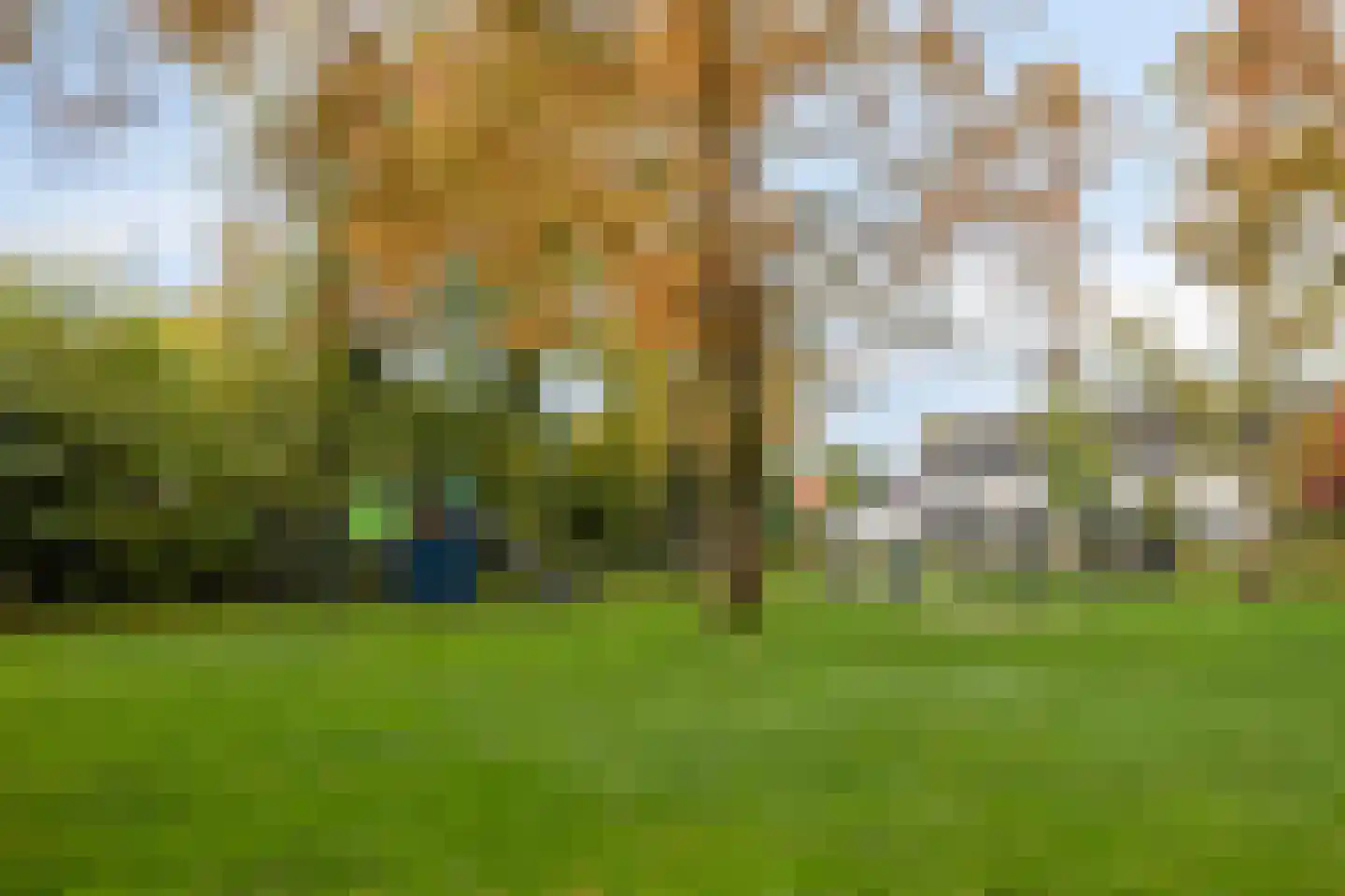 Sweelinckstraat 103 Drunen thumbnail 48