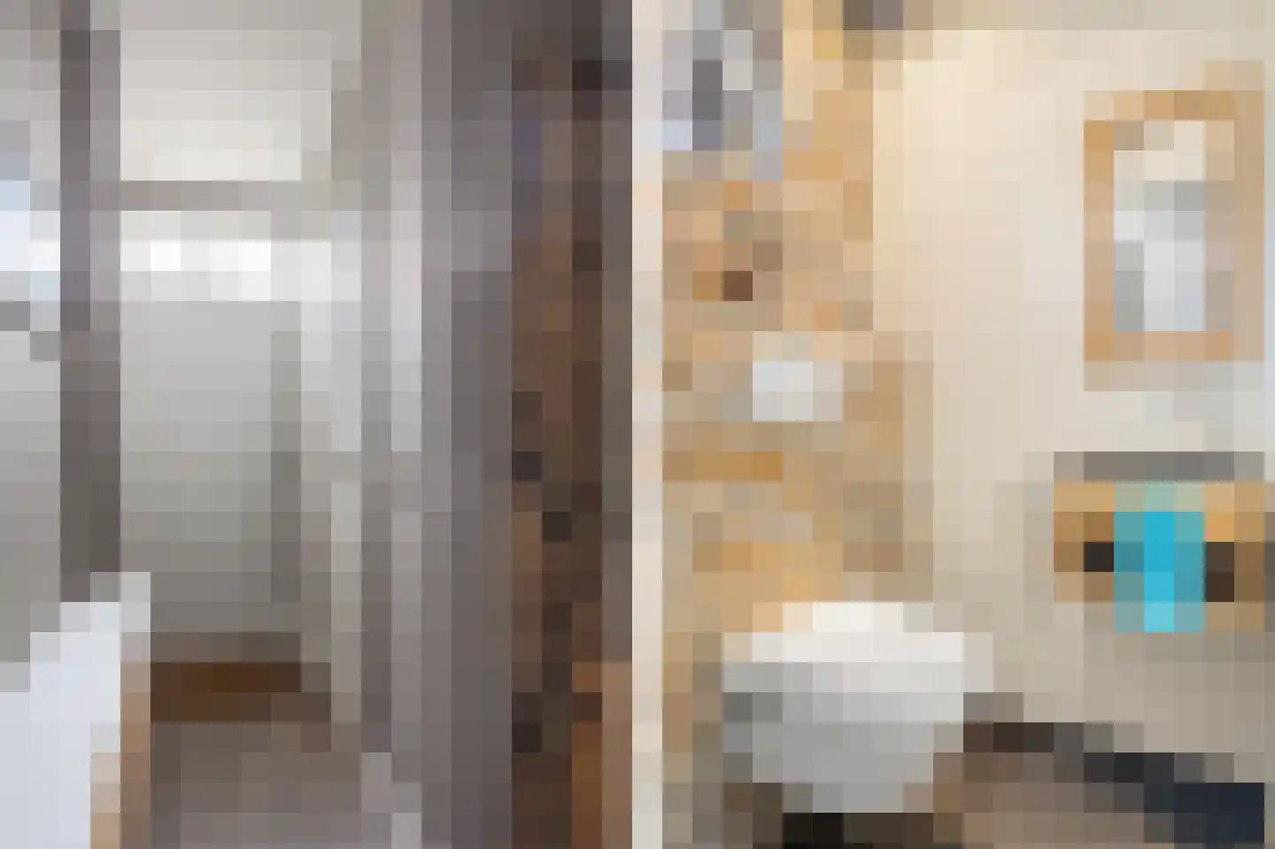 Sweelinckstraat 103 Drunen thumbnail 6