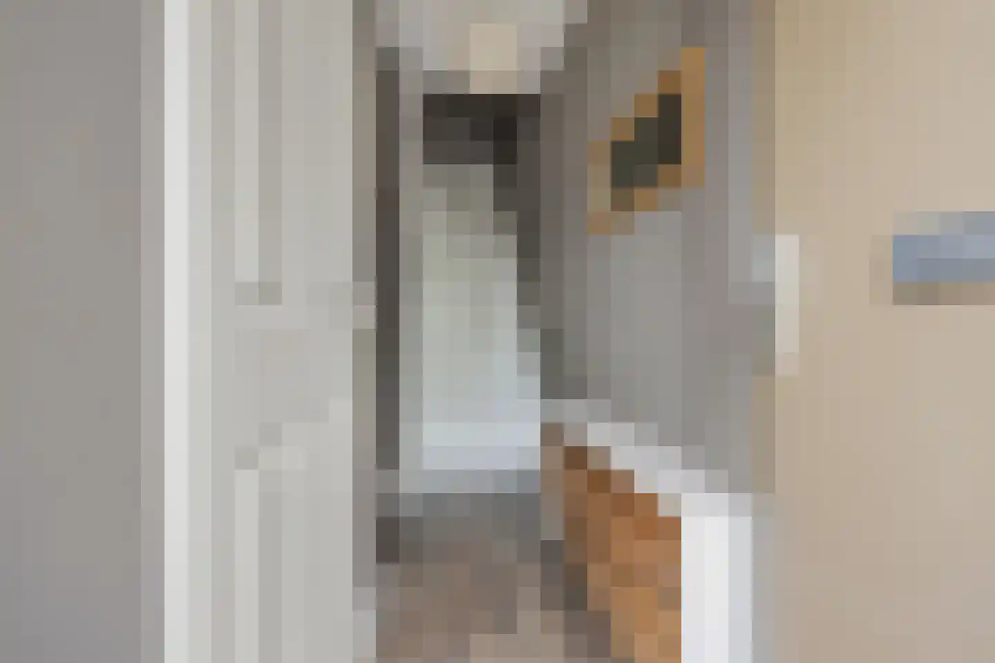 Sweelinckstraat 103 Drunen thumbnail 7