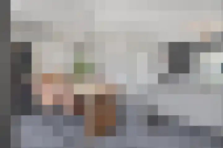 Sweelinckstraat 12 Dongen thumbnail 14