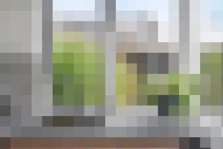 Sweelinckstraat 12 Dongen thumbnail 15