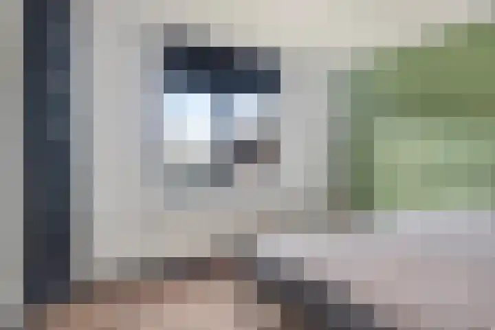 Sweelinckstraat 12 Dongen thumbnail 20