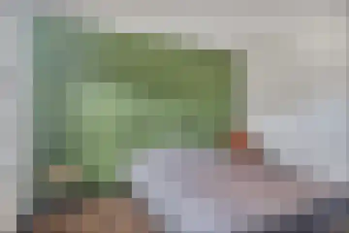 Sweelinckstraat 12 Dongen thumbnail 21