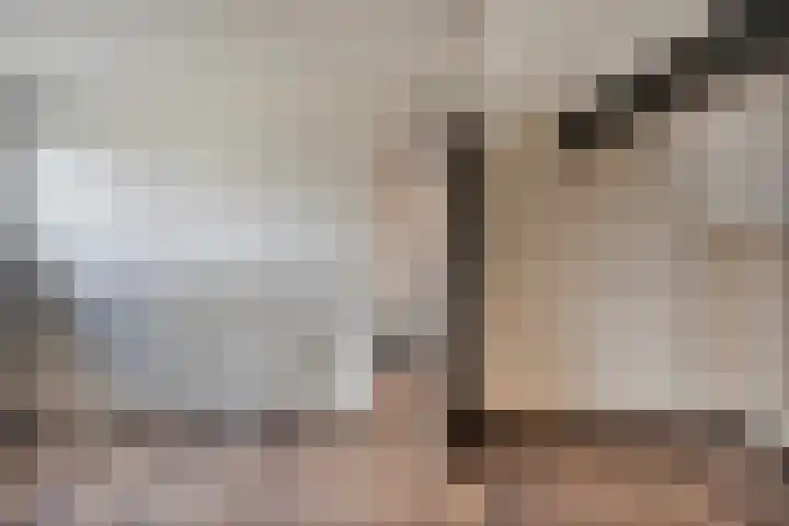 Sweelinckstraat 12 Dongen thumbnail 29