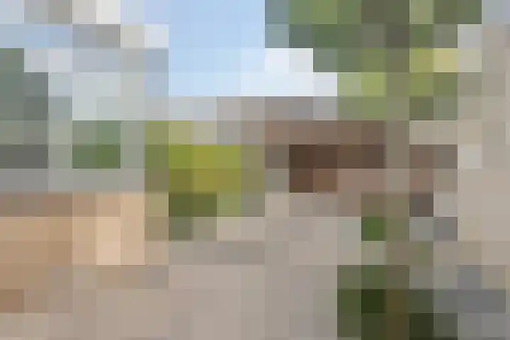 Sweelinckstraat 12 Dongen thumbnail 30