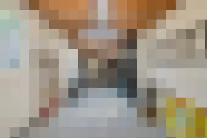 Sweelinckstraat 12 Dongen thumbnail 35
