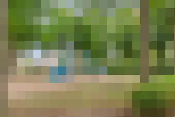 Sweelinckstraat 12 Dongen thumbnail 38