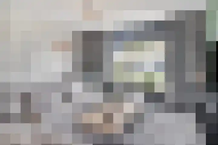 Sweelinckstraat 12 Dongen thumbnail 9