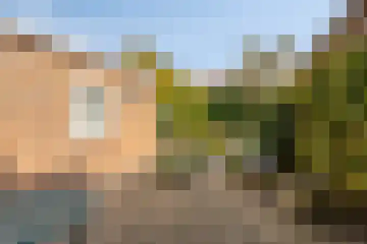 Sweelinckstraat 14 Bergen op Zoom thumbnail 32