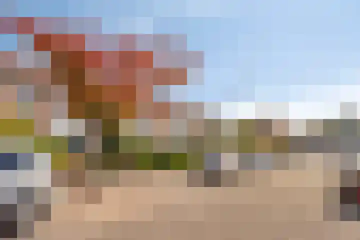 Sweelinckstraat 14 Bergen op Zoom thumbnail 43