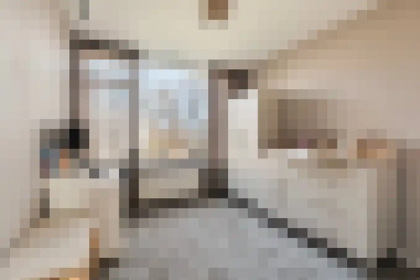 Sweelinckstraat 14 Ridderkerk thumbnail 19