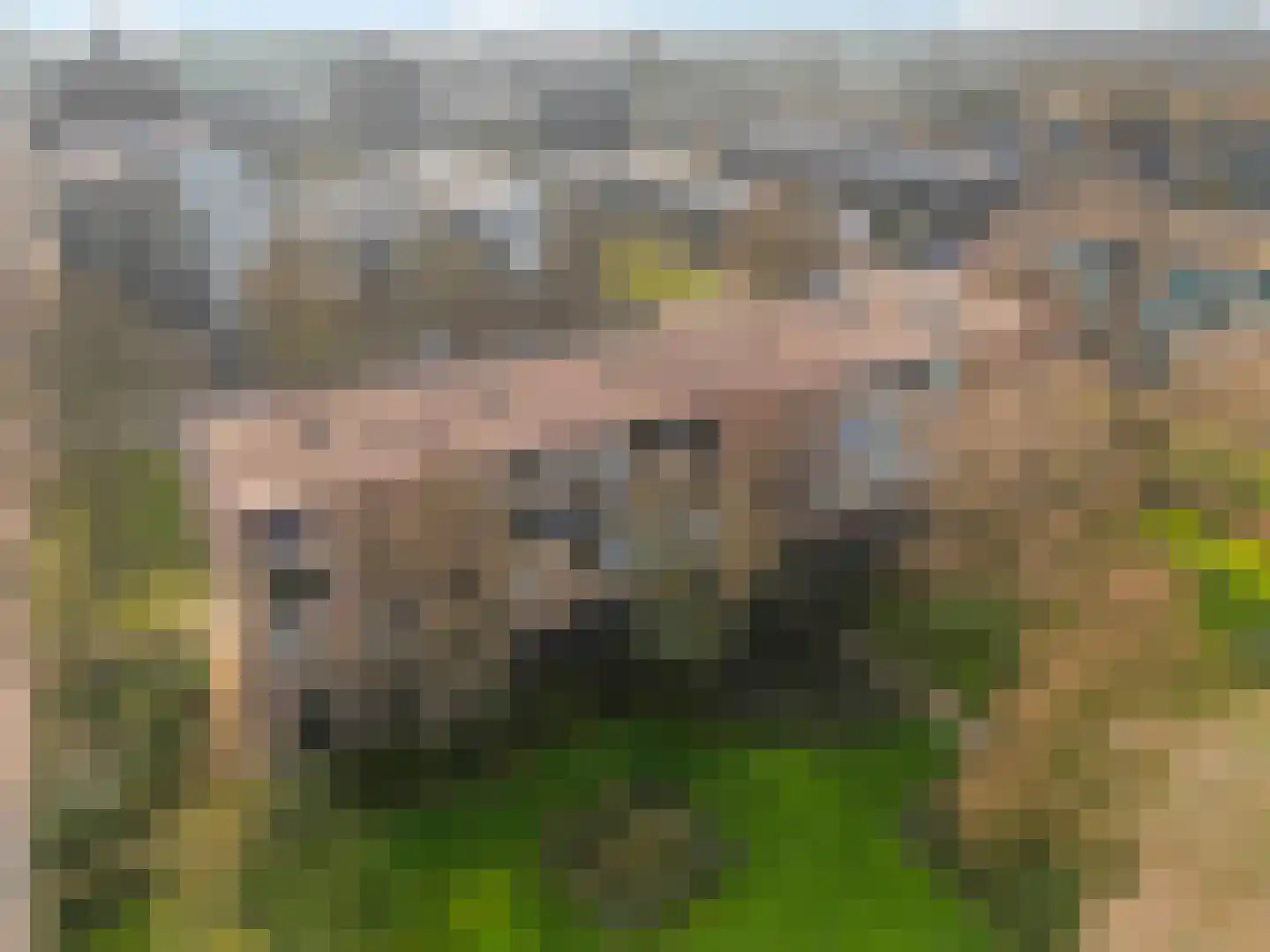 Sweelinckstraat 14 Ridderkerk thumbnail 38