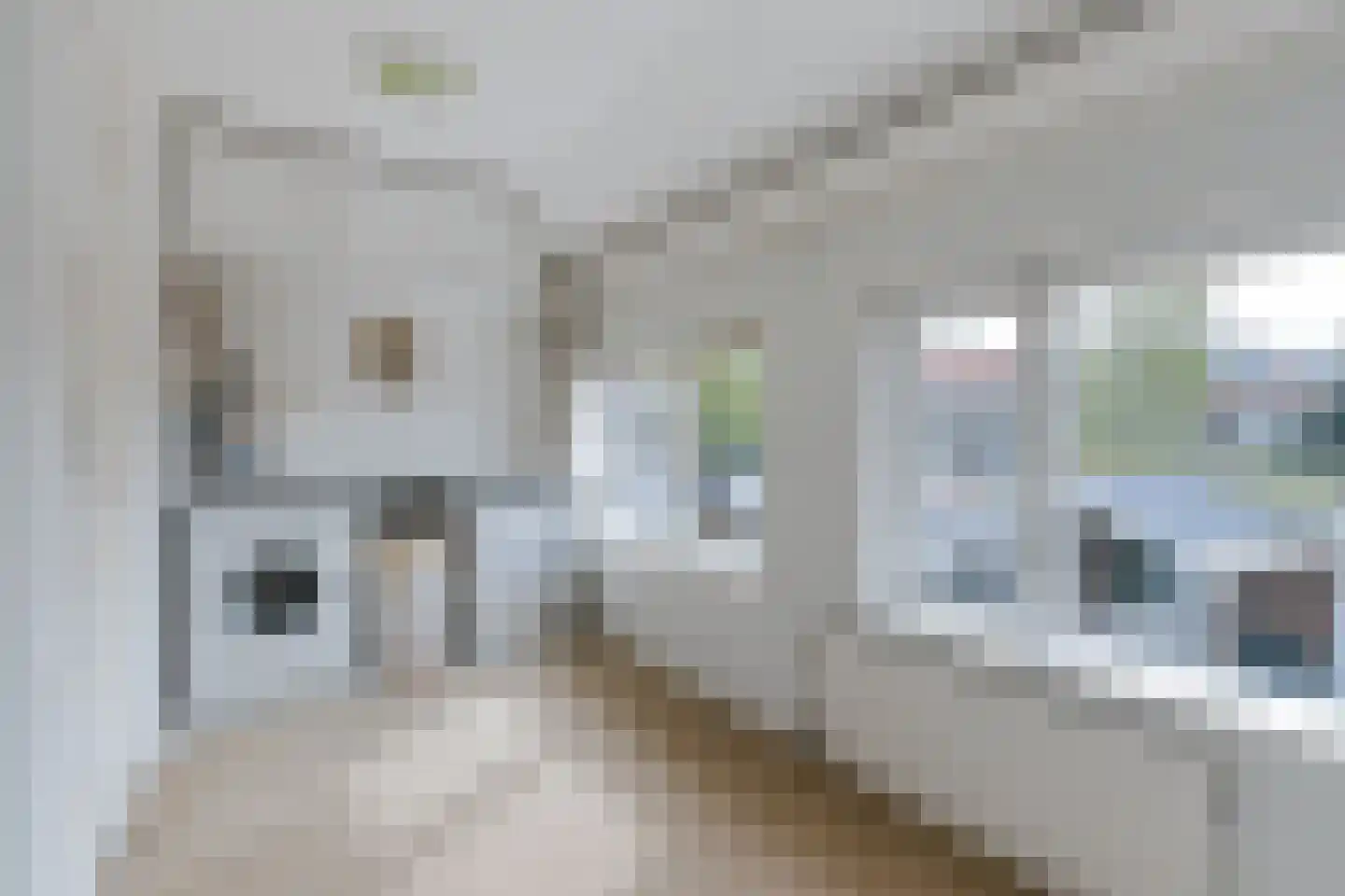 Sweelinckstraat 16 Dordrecht thumbnail 18