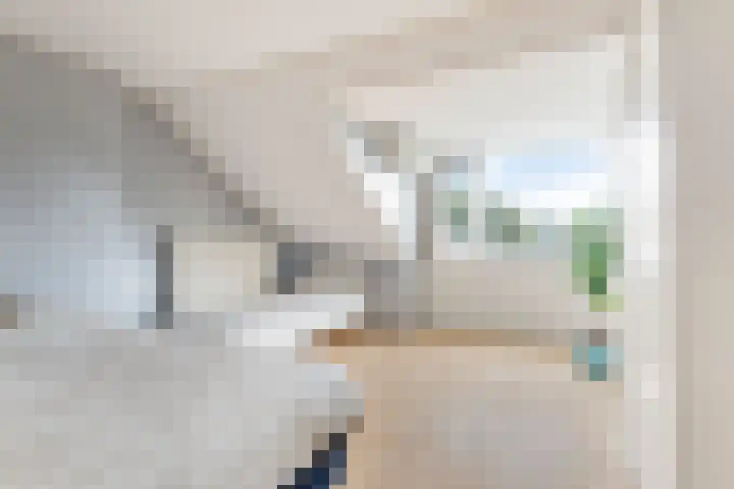 Sweelinckstraat 17 Berkel en Rodenrijs thumbnail 34
