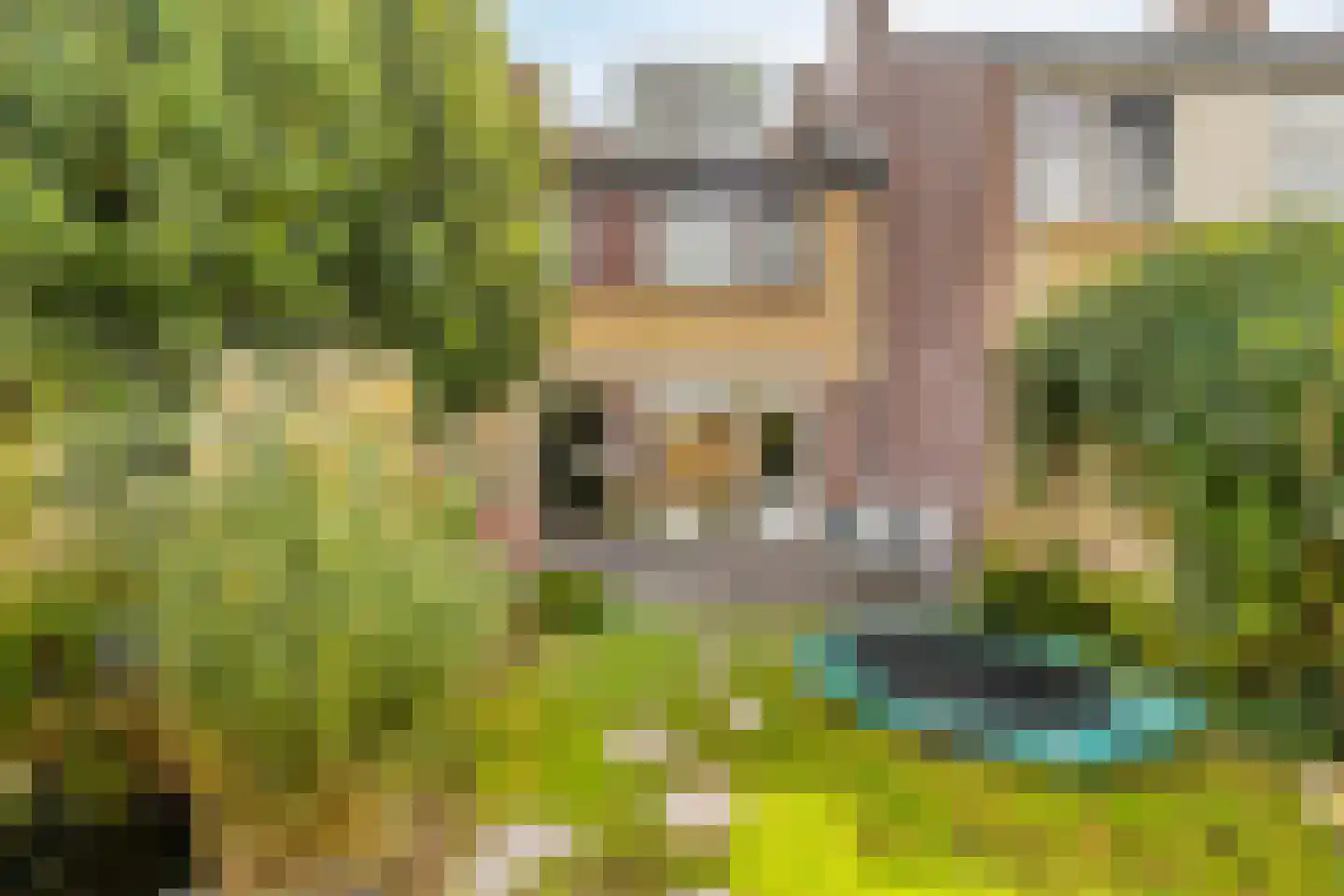 Sweelinckstraat 17 Berkel en Rodenrijs thumbnail 42