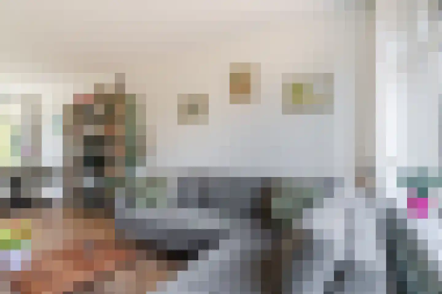 Sweelinckstraat 17 Culemborg thumbnail 8