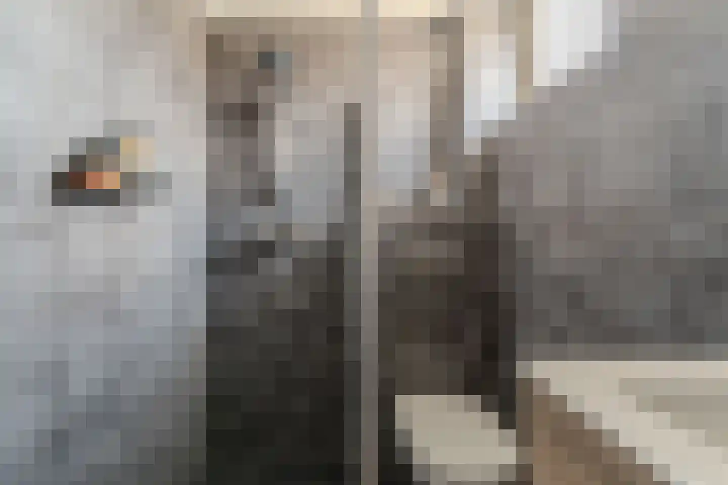 Sweelinckstraat 17 Zevenaar thumbnail 4
