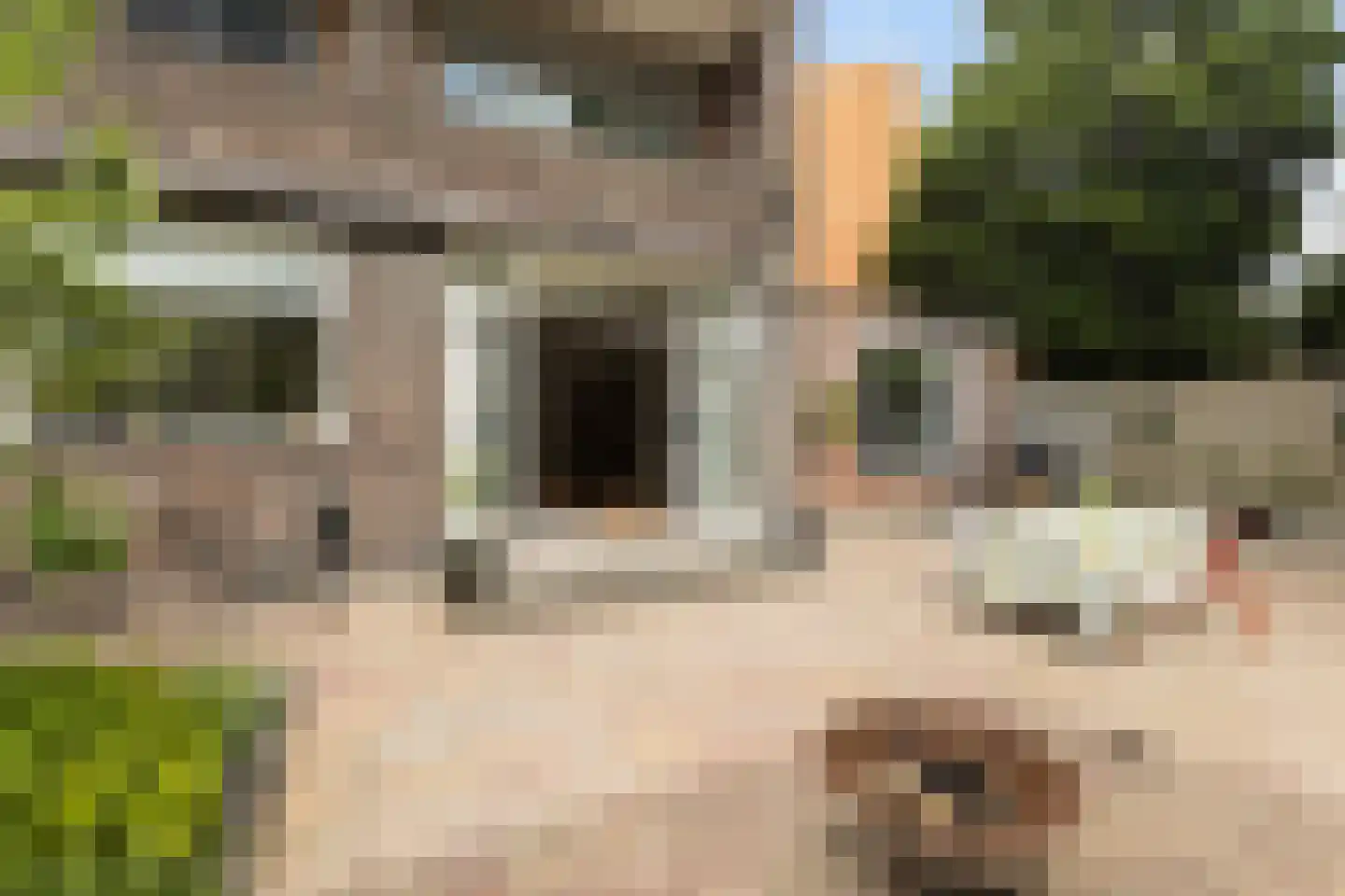 Sweelinckstraat 194 Vlaardingen thumbnail 21