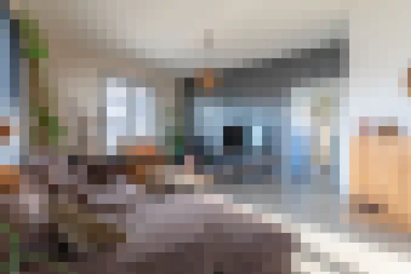 Sweelinckstraat 2 Brunssum thumbnail 6
