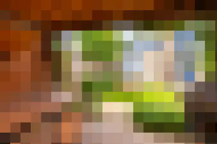 Sweelinckstraat 2 Eerbeek thumbnail 27