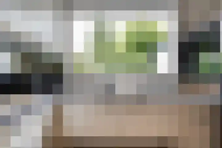 Sweelinckstraat 2 Groenlo thumbnail 22