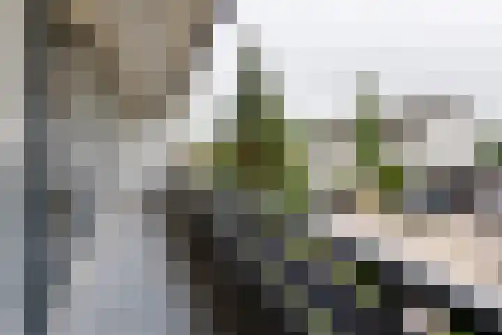 Sweelinckstraat 2 Groenlo thumbnail 34