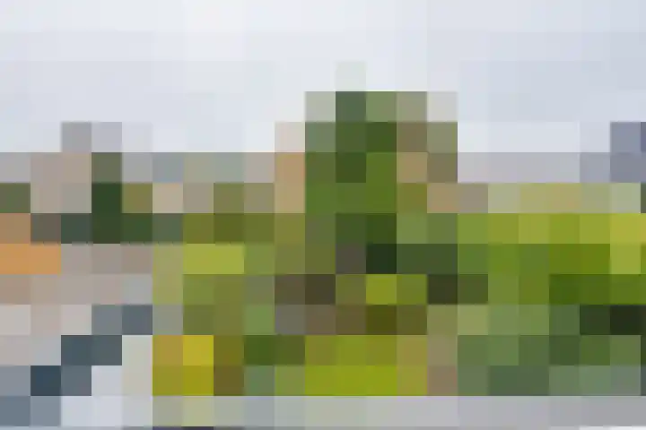 Sweelinckstraat 2 Groenlo thumbnail 38
