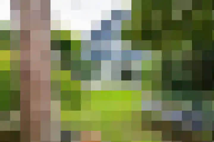 Sweelinckstraat 2 Groenlo thumbnail 5