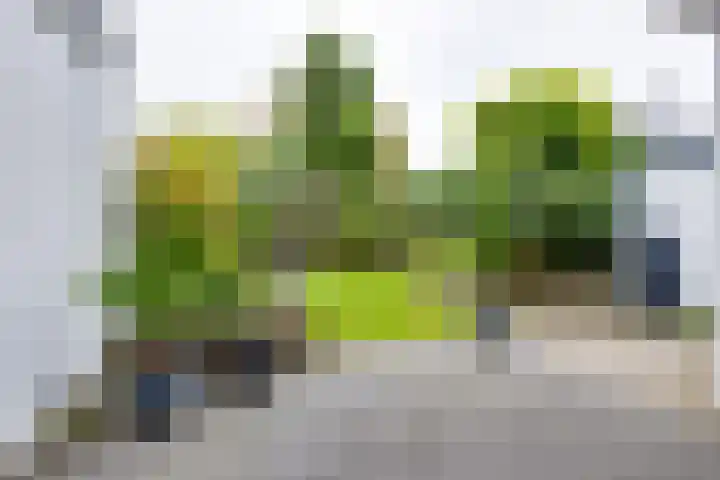 Sweelinckstraat 2 Groenlo thumbnail 54