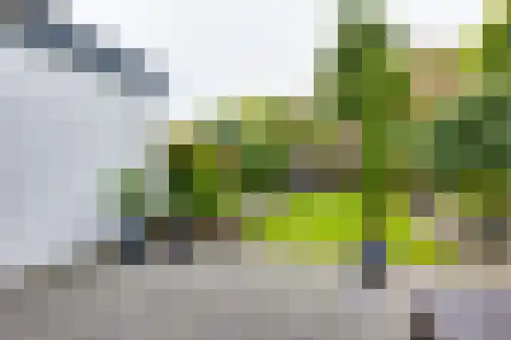 Sweelinckstraat 2 Groenlo thumbnail 56