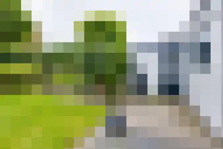 Sweelinckstraat 2 Groenlo thumbnail 59