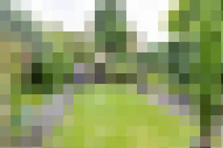 Sweelinckstraat 2 Groenlo thumbnail 60