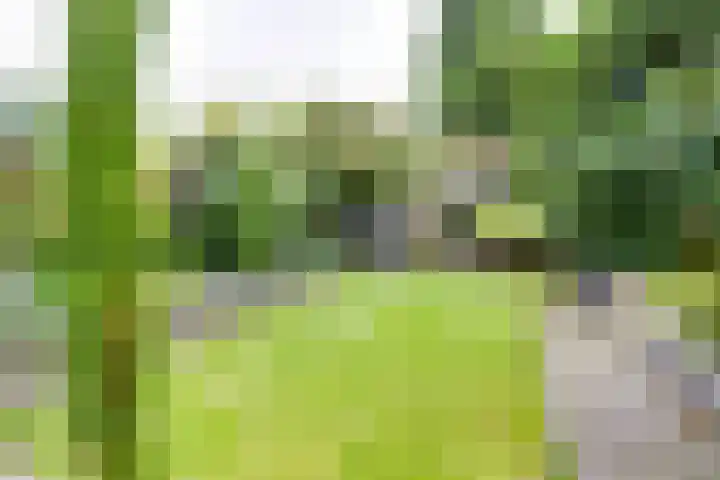 Sweelinckstraat 2 Groenlo thumbnail 61
