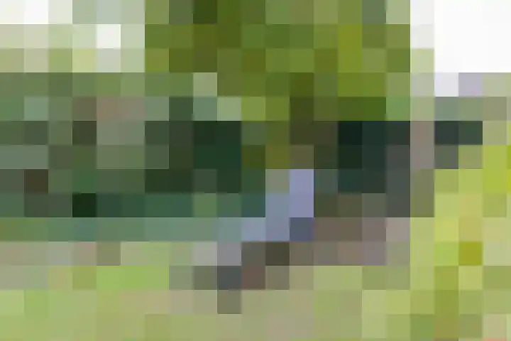 Sweelinckstraat 2 Groenlo thumbnail 63